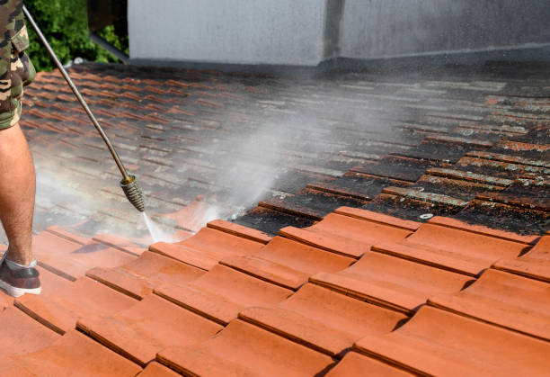 Best Pressure Washing Near Me  in Mcguire Af, NJ